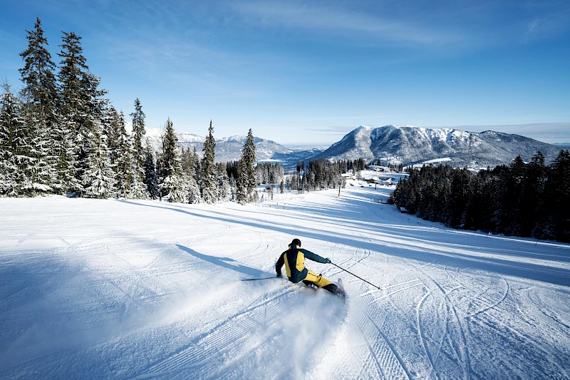 Anton L. | Sportivmodels