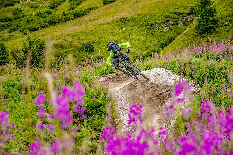 Martin P. | Sportivmodels