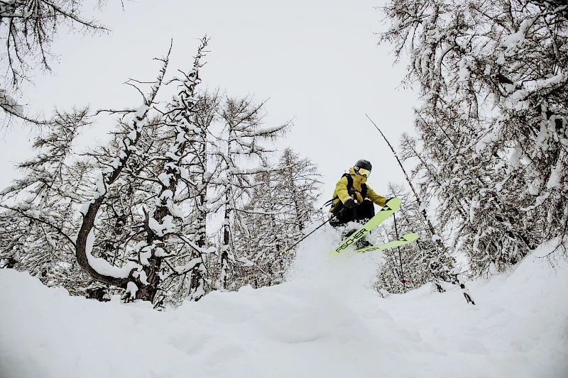 René B. | Sportivmodels