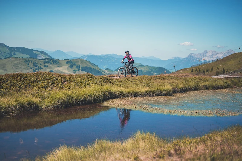 Lisa P. | Sportivmodels