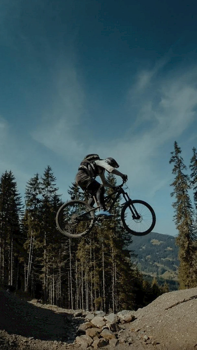 Michael M. | Sportivmodels