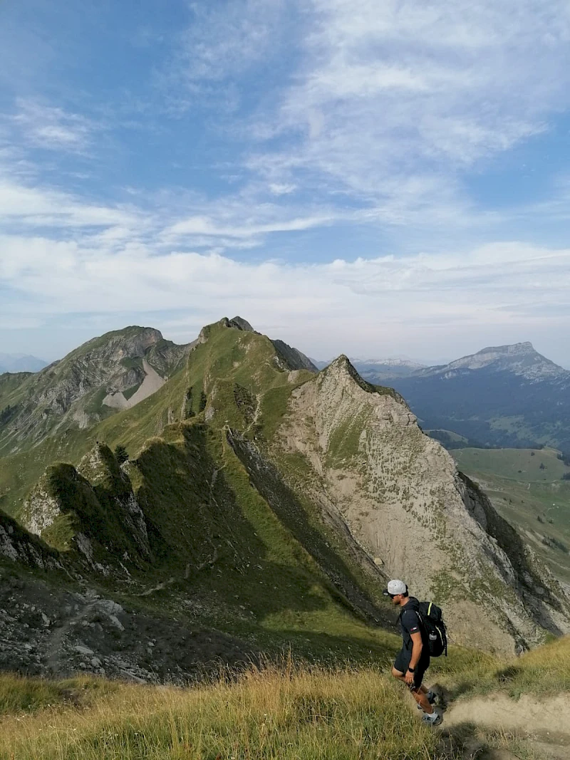 David H. | Sportivmodels