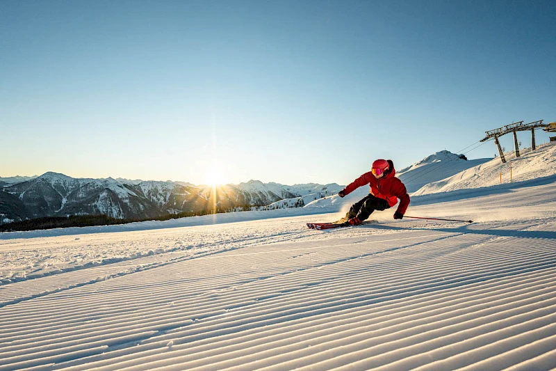 Silvio H. | Sportivmodels