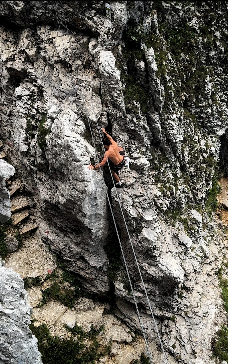 Felix K. | Sportivmodels